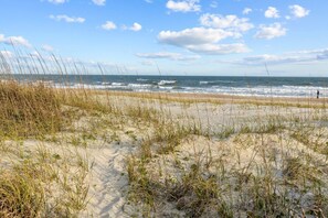 Een strand met duinen en gras, en de oceaan op de achtergrond.