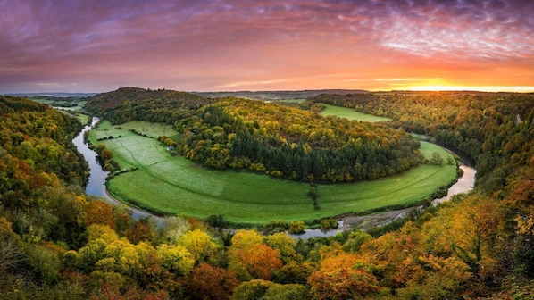 Una vista panoramica di una valle lussureggiante con un fiume, circondata da fitte foreste e dolci colline.