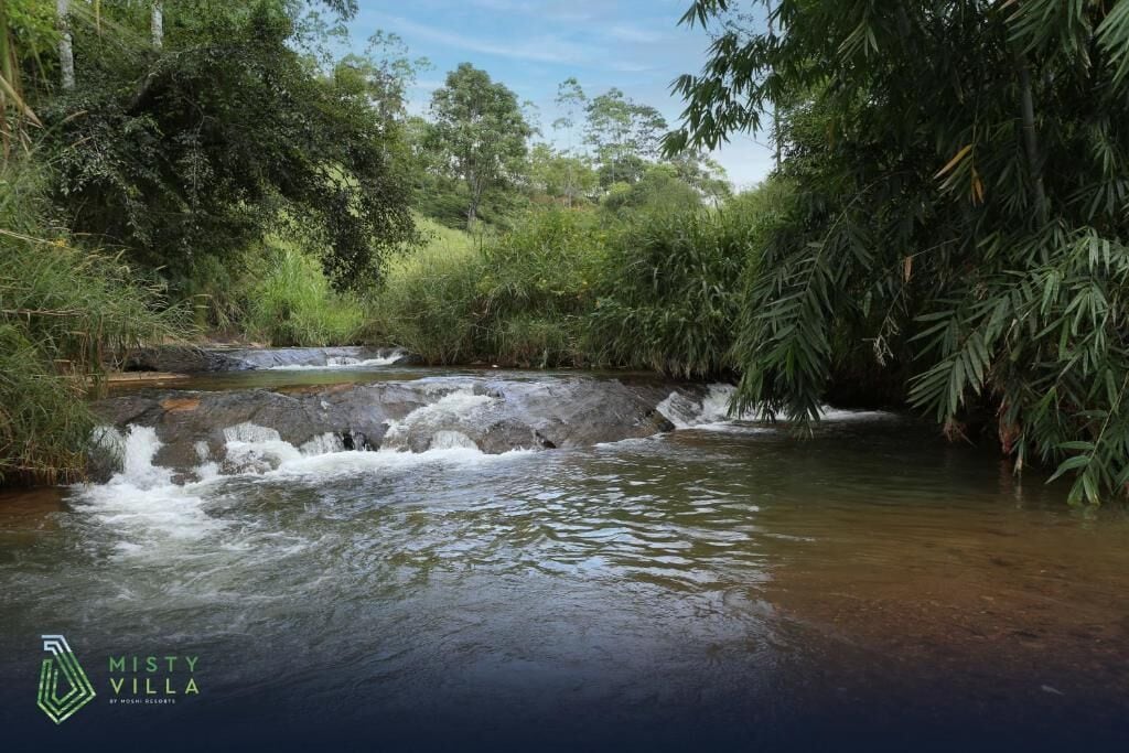 A natural water feature with a small waterfall, surrounded by dense greenery.