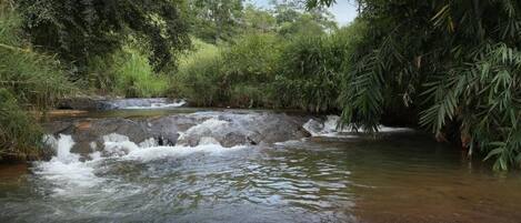 A natural water feature with a small waterfall, surrounded by dense greenery.
