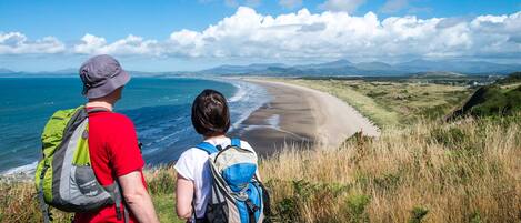 بالقرب من الشاطئ