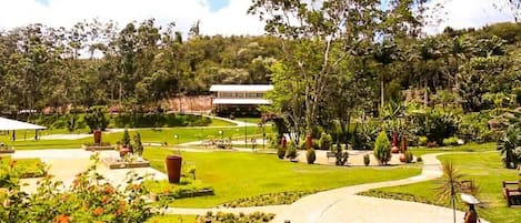 32-tommers smart-tv med digitale kanaler