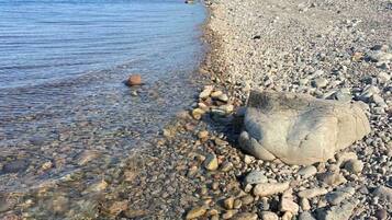 Ranta