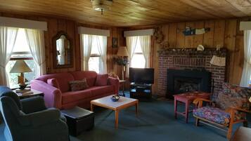 TV, fireplace, books