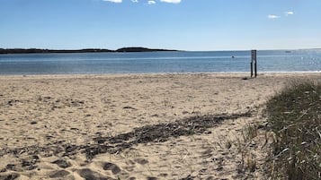Sun loungers, beach towels