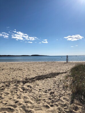 Chaises longues, serviettes de plage
