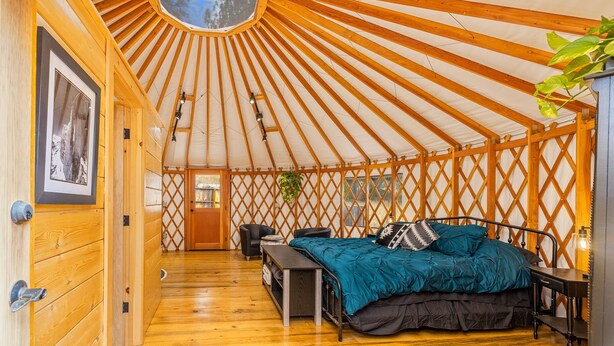 A yurt interior with a wooden ceiling, a bed with teal bedding, a desk, and a hanging plant. - Unique authentic yurt stay near Yosemite National Park  (Wishon)