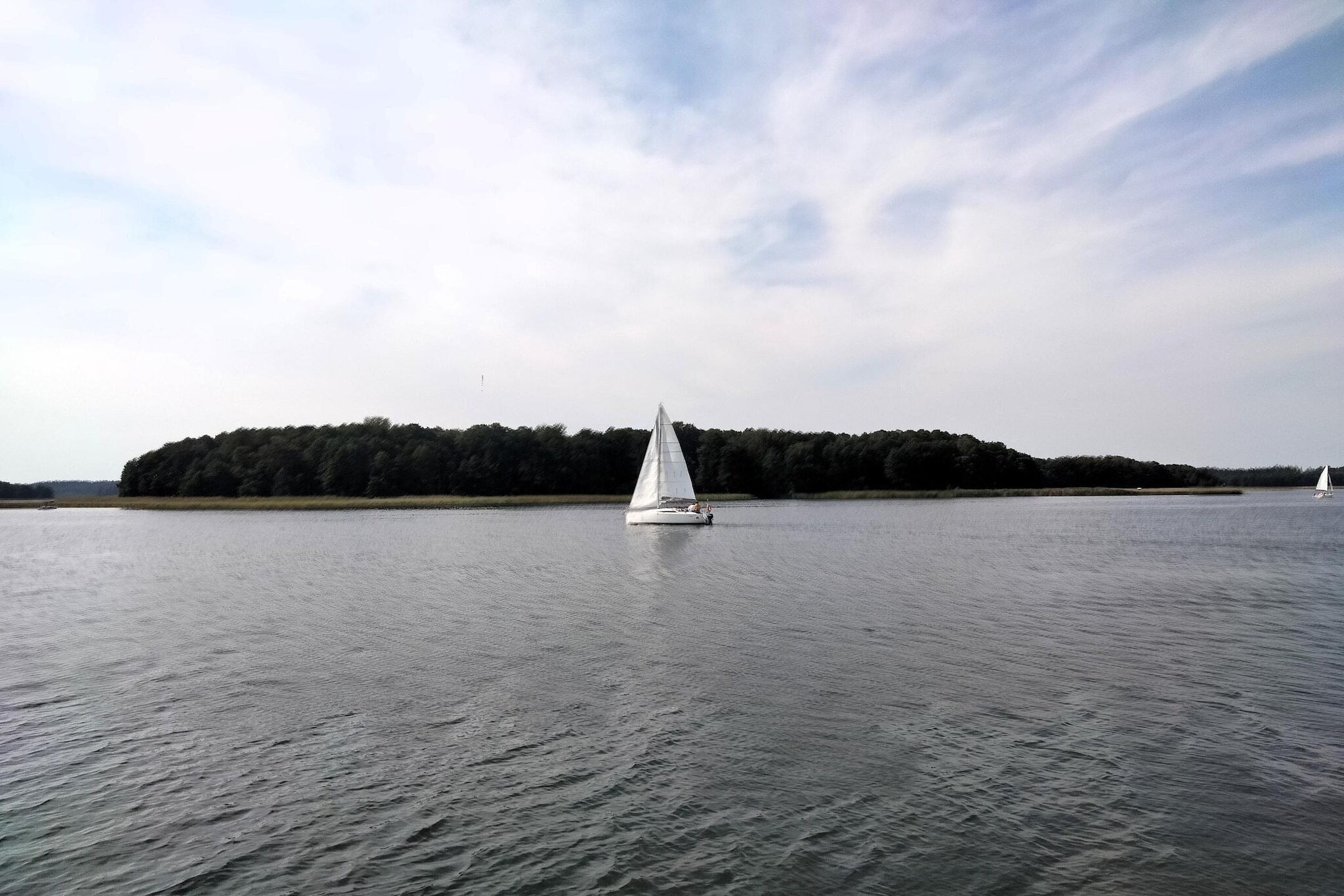 A sailboat on calm water with a forested island in the background.