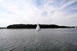 Unclassified image, 3 of 22, button