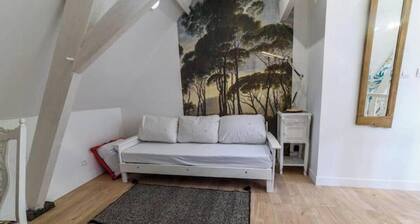 Le 304, Douais