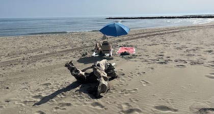 Dans la Nature au CĆur D'un Site ProtĂ©gĂ© Ă 10mn Ă Pied des Plages de Camargue