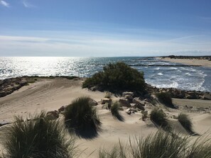 A beach with sand dunes, sparse vegetation, and a rocky shoreline.