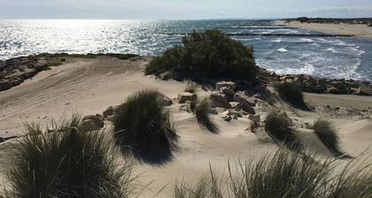 Dans la Nature au Cœur D'un Site Protégé à 10mn à Pied des Plages de Camargue