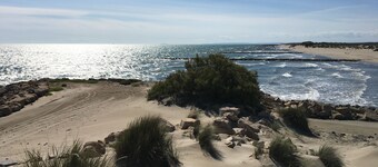 Dans la Nature au Cœur D'un Site Protégé à 10mn à Pied des Plages de Camargue