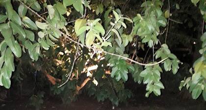 Lodge - Sleeps 6 - Parking - Garden