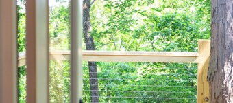 Mammoth Cave, WKU, Barren River Lake, Travel Sports, Corvette