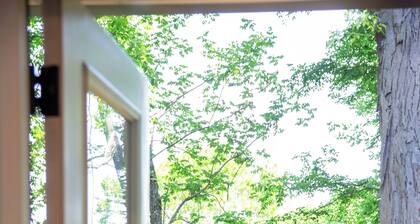 Mammoth Cave, WKU, Barren River Lake, Travel Sports, Corvette