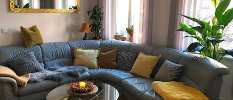 Televisor i llar de foc