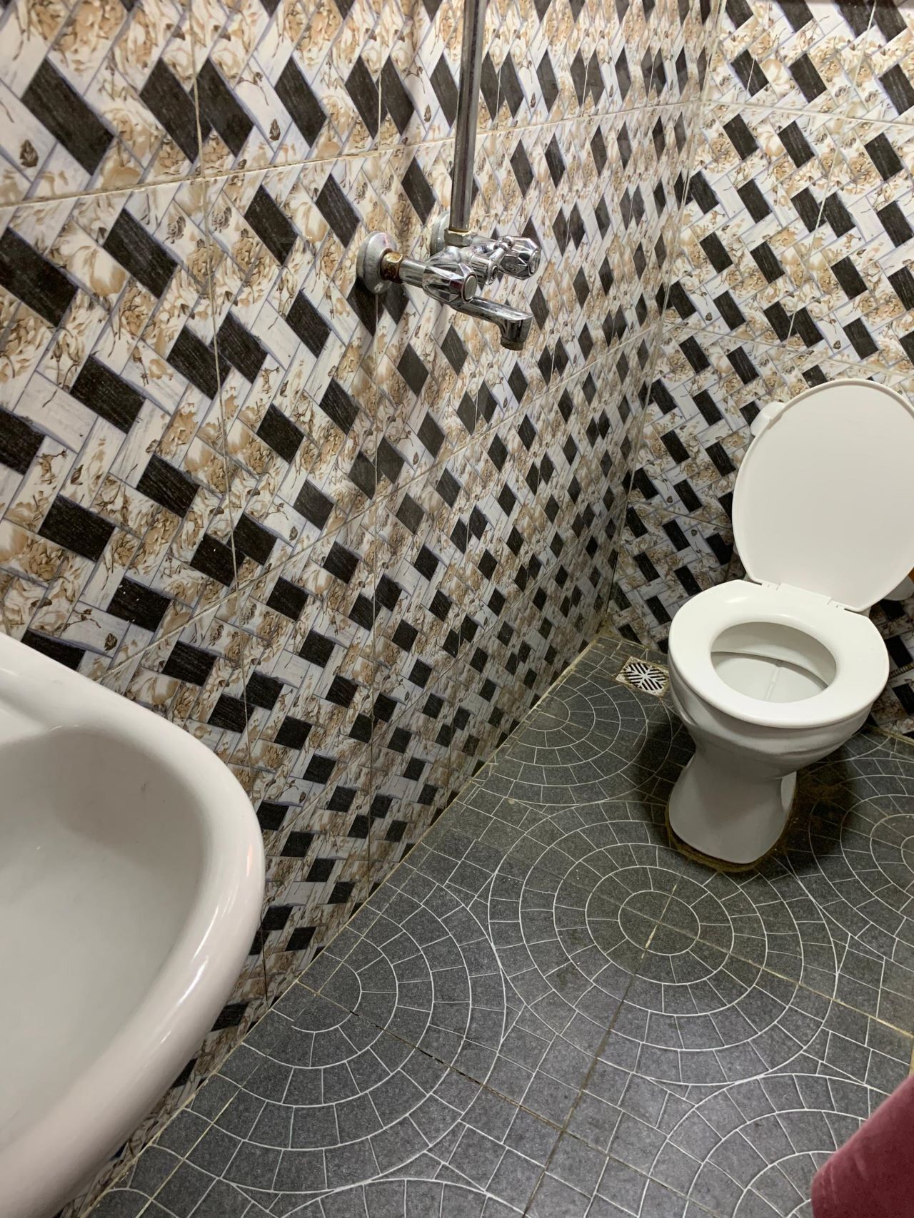 Kylpyhuone, jossa on wc, bidee ja kuviollinen lattialaatoitus.