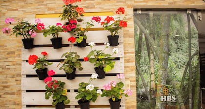 Hotel Boutique San Antonio Amigable con el Medio Ambiente