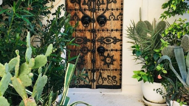 A wooden door with intricate carvings, surrounded by various potted plants including cacti and leafy greens. - Dar Essaroual Hammamet (Hammamet)