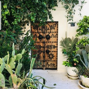 Una puerta de madera con tallas intrincadas, rodeada de varias plantas en macetas, incluyendo cactus y plantas de hojas verdes.
