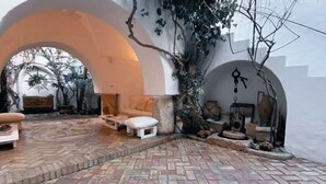 An indoor courtyard with a brick floor, white furniture, and a tree with hanging vines. - Dar Essaroual Hammamet (Hammamet)
