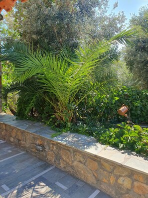 Comfort Double Room, Multiple Beds, Pool View | Private kitchen | Fridge, oven, stovetop, toaster
