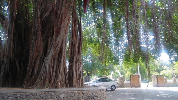 Front of property - Trinco Rest House (Trincomalee)