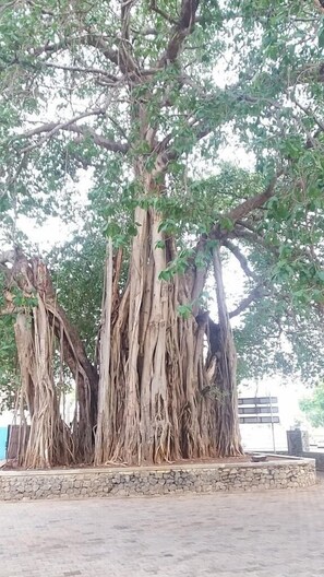 Vista frontal de la propiedad