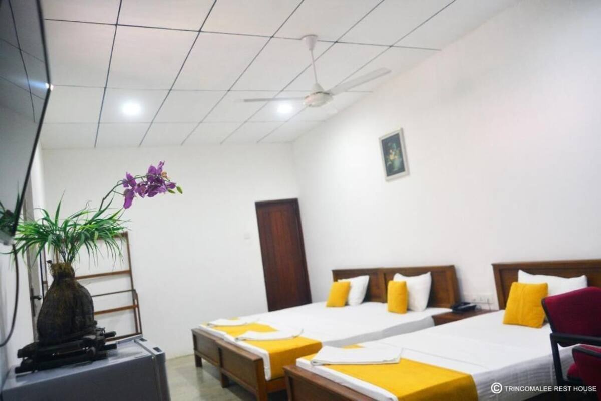 A hotel room with two single beds, a desk, a chair, a ceiling fan, and a potted plant.