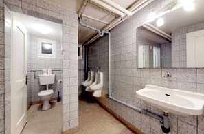 A public restroom with a toilet, urinals, a sink, and a mirror. - Gadmen Alpenrose Switzerland (Innertkirchen)