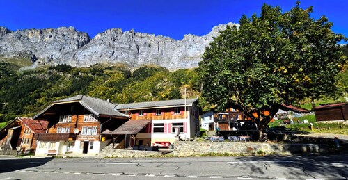 Gadmen Alpenrose Switzerland