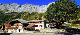 Gadmen Alpenrose Switzerland