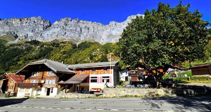 Gadmen Alpenrose Switzerland