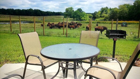 A patio with a round table and chairs, overlooking a fenced pasture with horses and a barbecue grill. - Elevated luxury awaits at Legacy Cabins, where bison roam just beyond. (Hanna City)