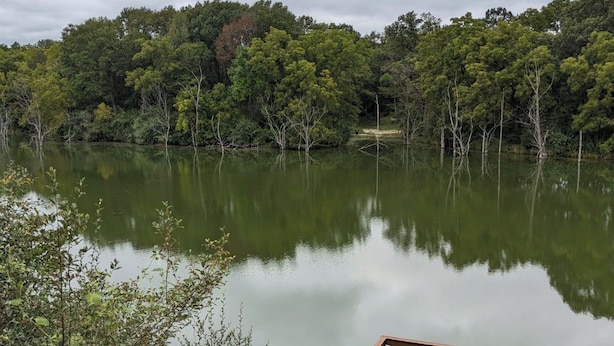 Una terraza de madera con vista a un lago tranquilo rodeado de un bosque denso.