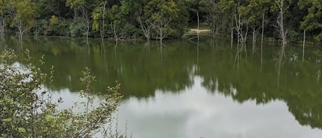 A wooden deck overlooking a calm lake surrounded by dense forest.