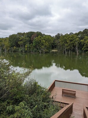 A wooden deck overlooking a calm lake surrounded by dense forest.