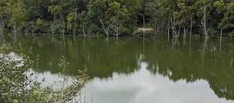 Megan's Lodge on Deep Lake with private dock, patio & wildlife views