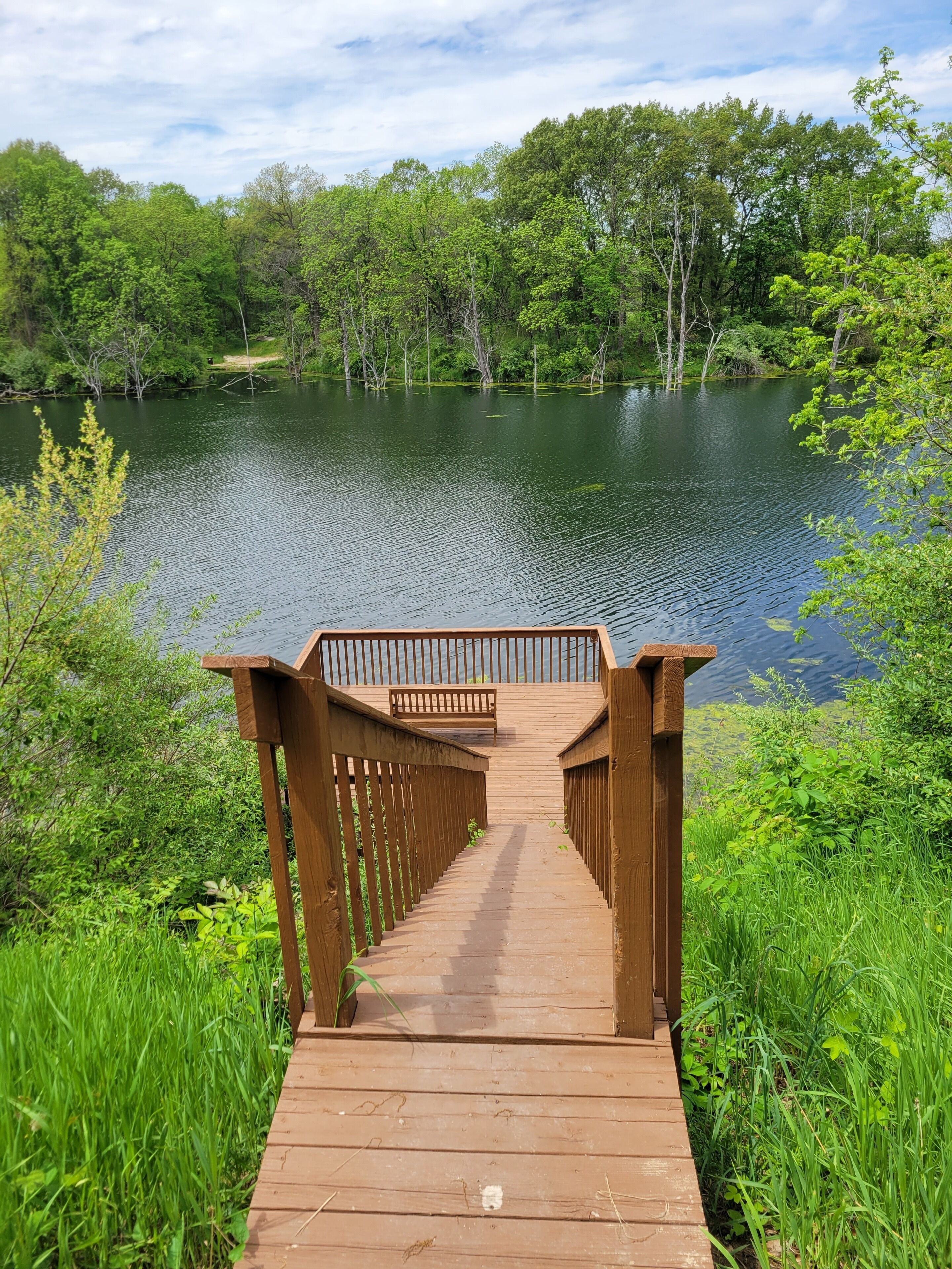 A wooden boardwalk leading to a bench overlooking a lake surrounded by greenery.