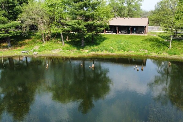 A tranquil pond with ducks, surrounded by trees and a building with a covered patio.