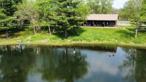 A tranquil pond with ducks, surrounded by trees and a building with a covered patio.