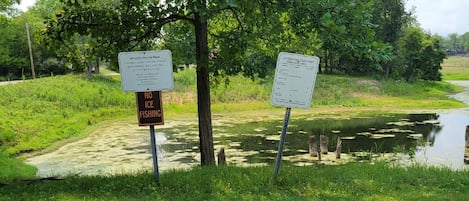 Property grounds