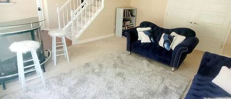 Smart TV, fireplace, books, music library
