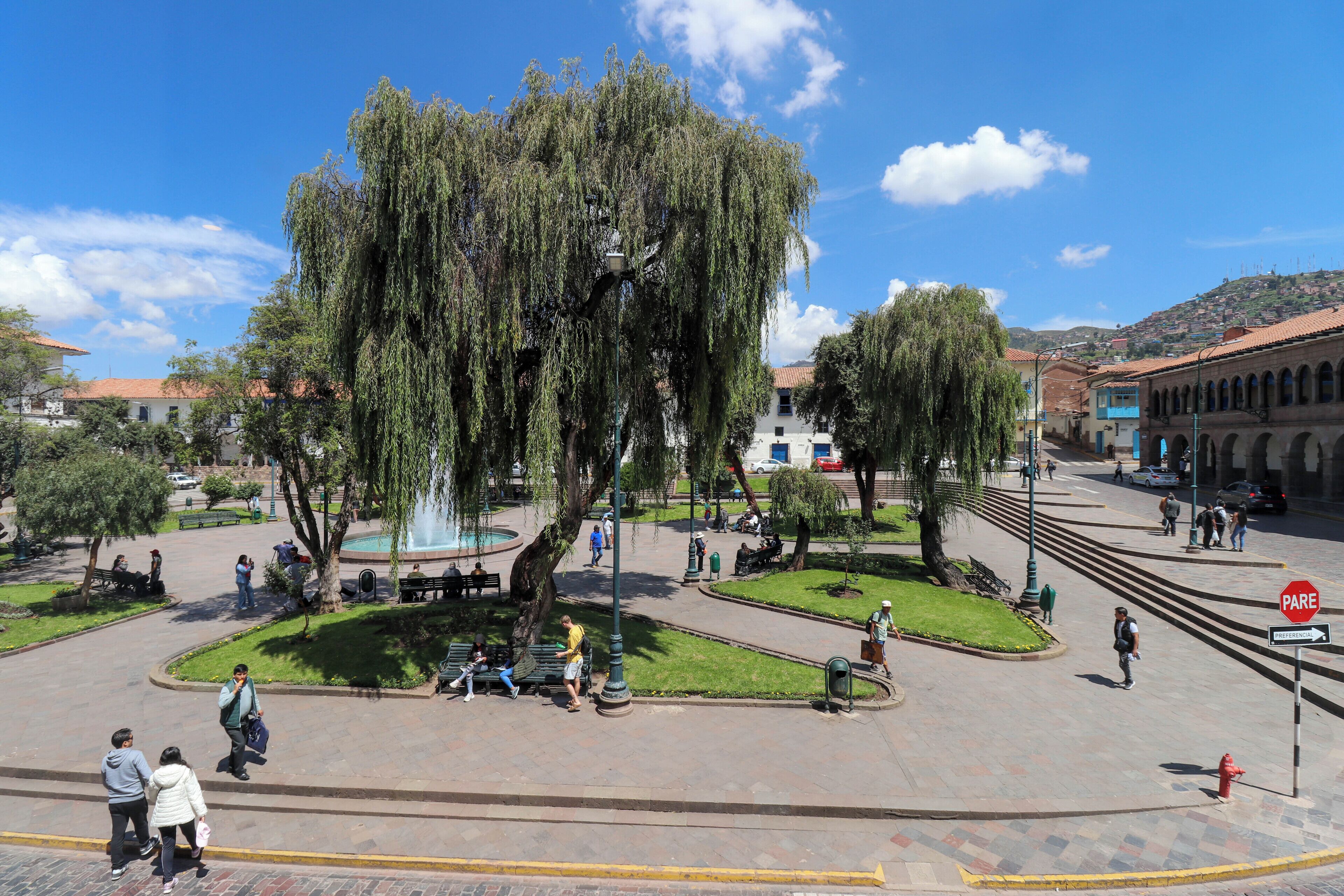A public square with a large weeping willow tree, benches, and a fountain.
