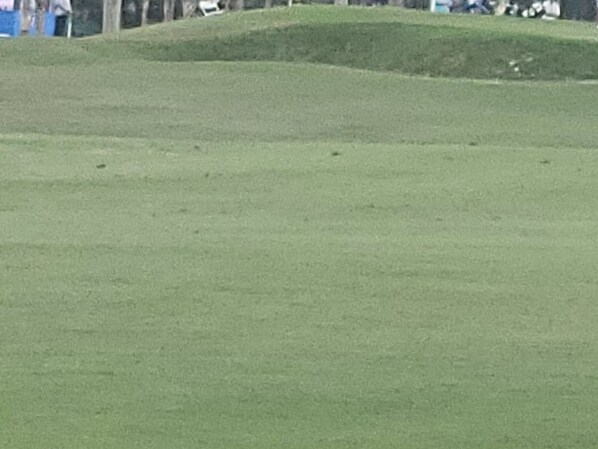 Golf - Beautiful like new tree house townhouse 3 balconies you will love convenience ! (Lakewood Ranch)