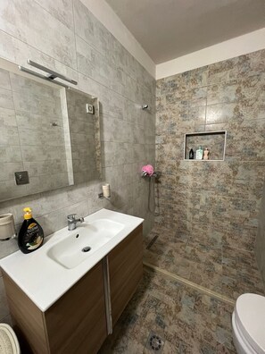 Dusche, Haartrockner, Bidet, Handtücher