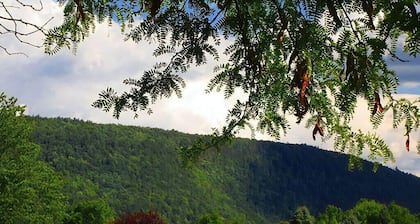Lakefront Chalet w/ game room 25 min. from skiing & snow tubing. Pet-friendly!