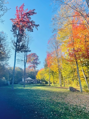 Property grounds - Wooded Lakefront Oasis w/ Kayaks, Game room & Lakeside Fire Ring (South Kortright)